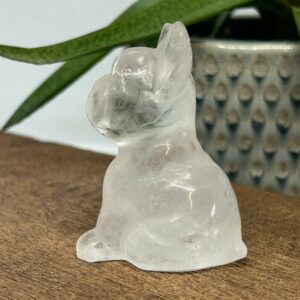 Fransk Bulldog Bjergkrystal
