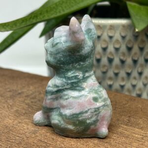Fransk Bulldog Havjaspis
