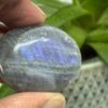 Labradorit Pink/Lilla Flash Mini Palmstone