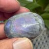 Labradorit Pink/Lilla Flash Mini Palmstone