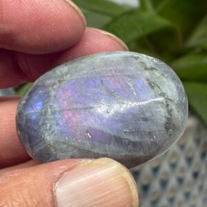 Labradorit Pink/Lilla Flash Mini Palmstone