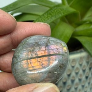 Labradorit Pink/Lilla Flash Mini Palmstone