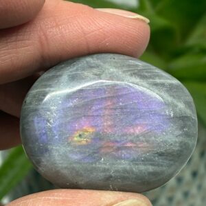 Labradorit Pink/Lilla Flash Mini Palmstone