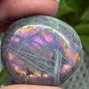 Labradorit Pink/Lilla Flash Mini Palmstone