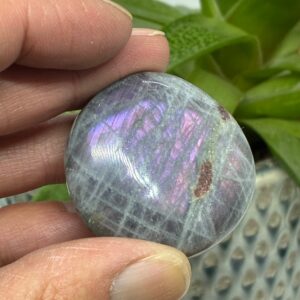 Labradorit Pink/Lilla Flash Mini Palmstone