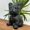 Fransk Bulldog STOR Obsidian