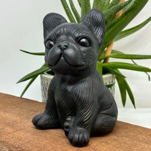Fransk Bulldog STOR Obsidian