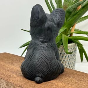 Fransk Bulldog STOR Obsidian