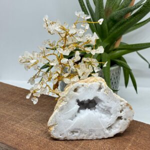 Bjergkrystal på Calsit Geode Krystaltræ