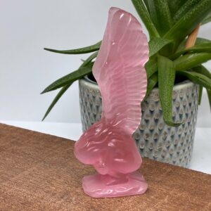 Fallen Angel Pink Katteøje