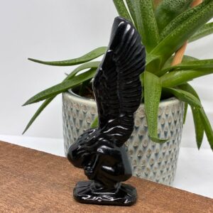 Fallen Angel Obsidian