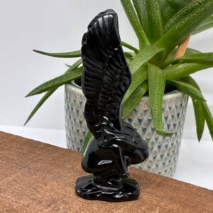Fallen Angel Obsidian