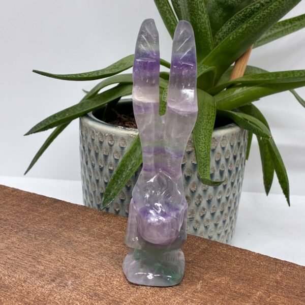 Fallen Angel Fluorit Medium (5) - Billede 2