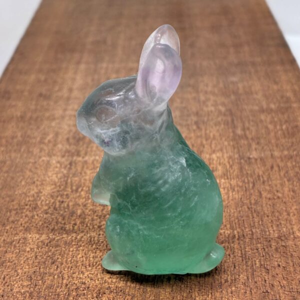 Fluorit Kanin