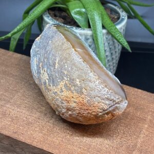 Alternative view of Agat Geode Stor (1)