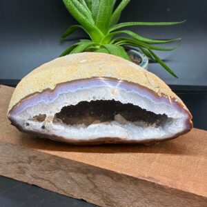 Agat Geode Stor