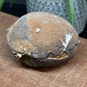 Alternative view of Agat Geode Par - "Smykkebox" (2)