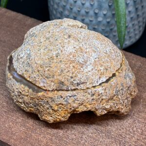 Alternative view of Agat Geode Par - "Smykkebox" (3)