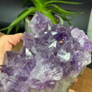 Ametyst AA Kvalitet Klynge Stor