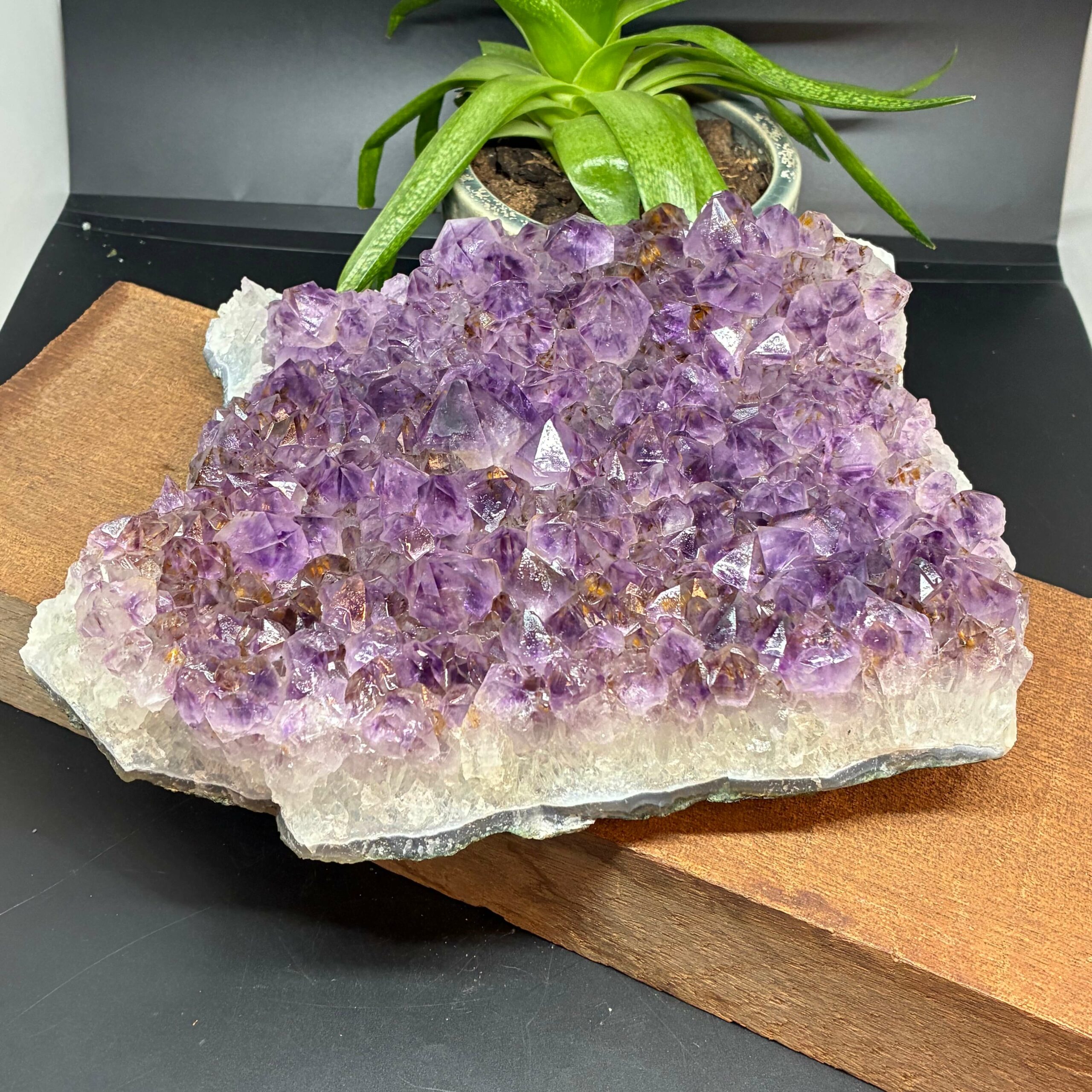 Ametyst AA Kvalitet Klynge Stor