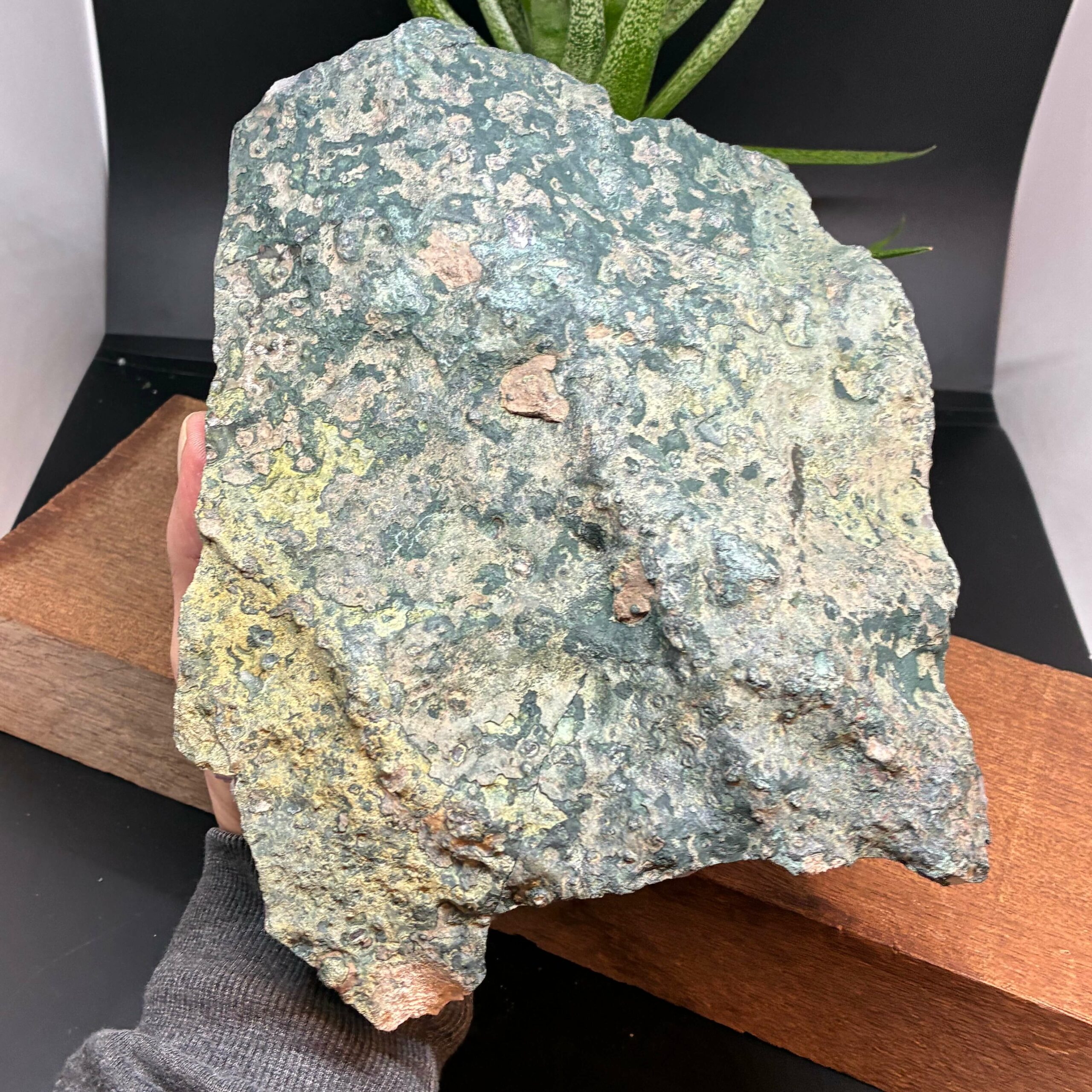 Ametyst AA Kvalitet Klynge Stor