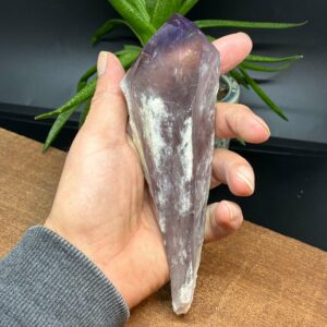 Alternative view of Ametyst Tand Stor (3)