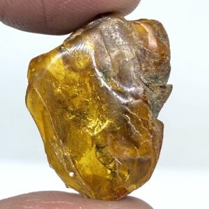 Rav med insekt inklusion