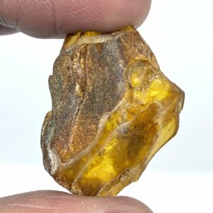 Rav med insekt inklusion