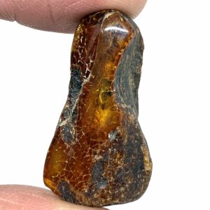 Rav med insekt inklusion