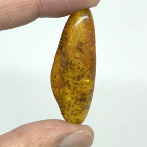 Rav med insekt inklusion