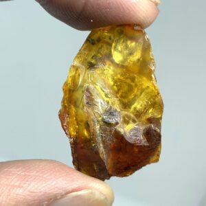 Rav med insekt inklusion