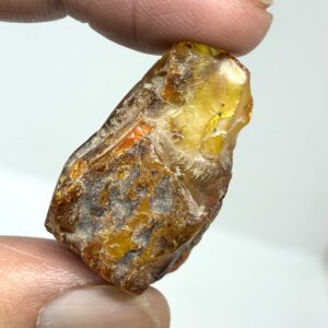 Rav med insekt inklusion