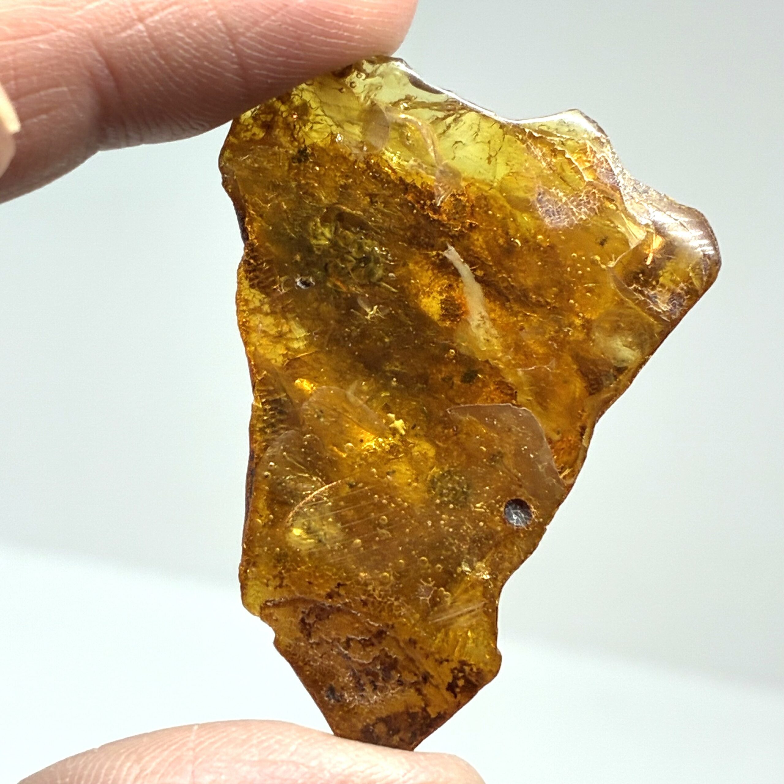 Rav med insekt inklusion