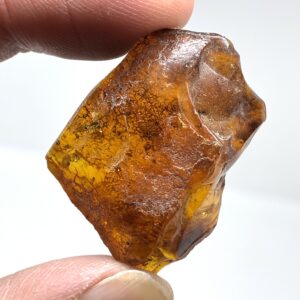 Rav med insekt inklusion