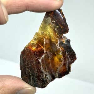 Rav med insekt inklusion