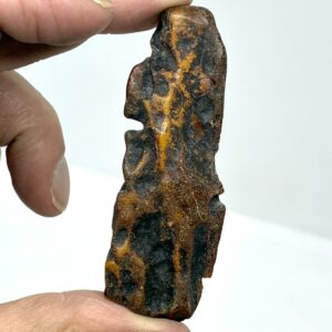 Rav med insekt inklusion