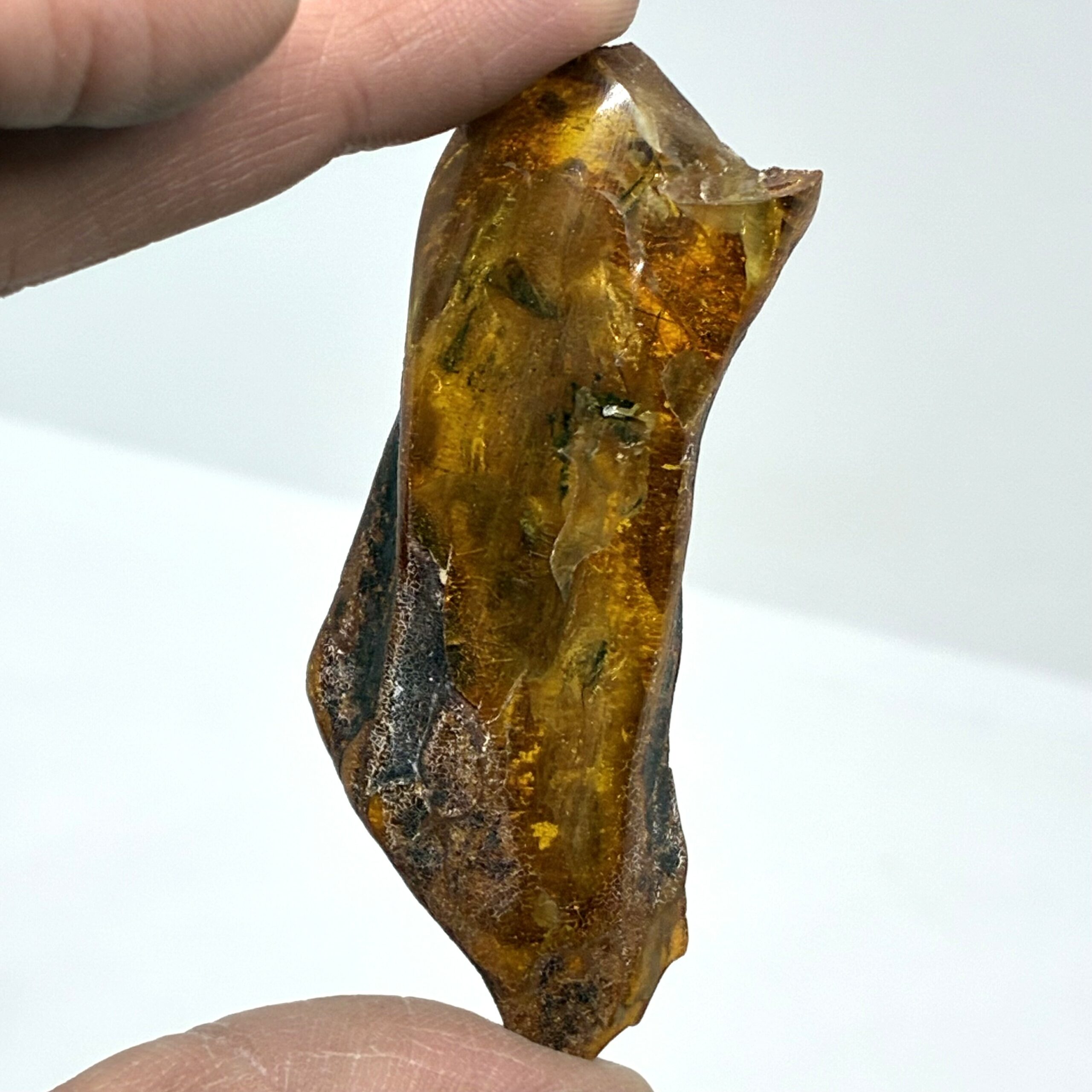 Rav med insekt inklusion