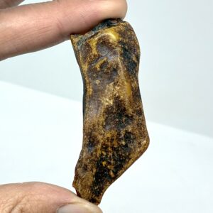 Rav med insekt inklusion