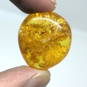 Rav med insekt inklusion