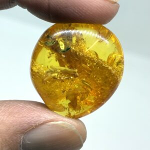 Rav med insekt inklusion