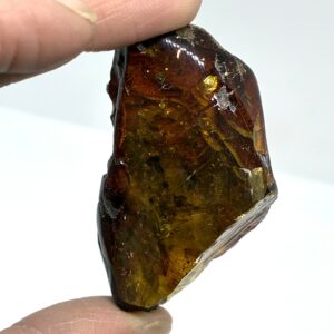 Rav med insekt inklusion