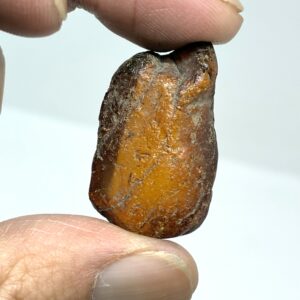 Rav med insekt inklusion