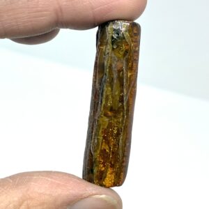 Rav med insekt inklusion