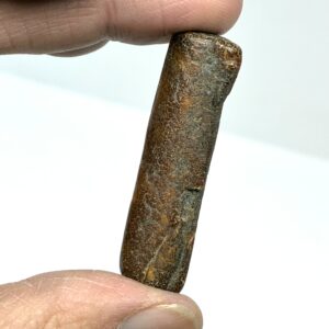 Rav med insekt inklusion