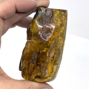 Rav med insekt inklusion