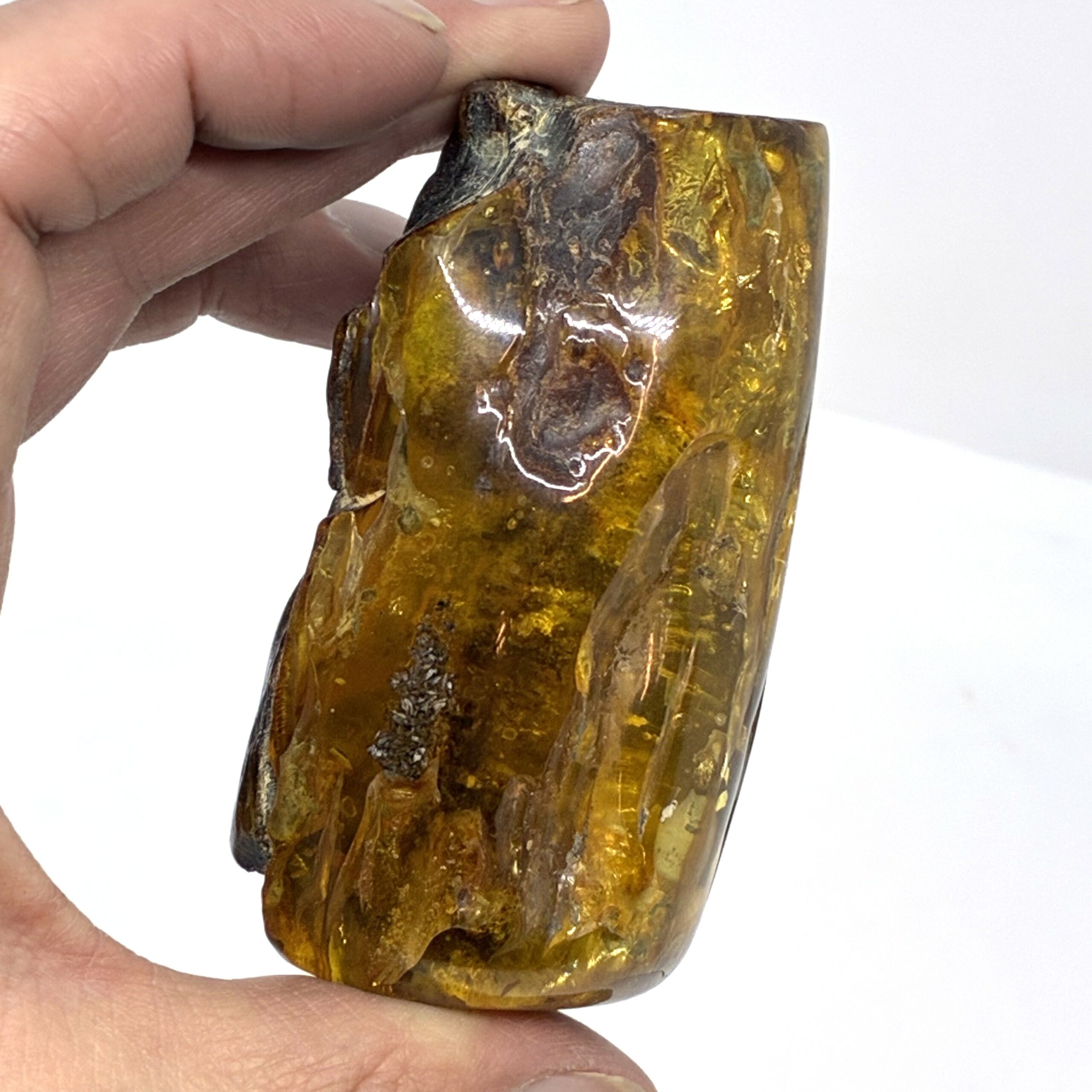 Rav med insekt inklusion