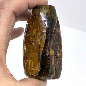 Rav med insekt inklusion