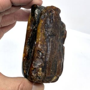 Rav med insekt inklusion