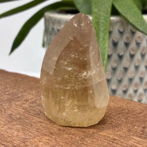 Naturlig Citrin Freeform Kantet