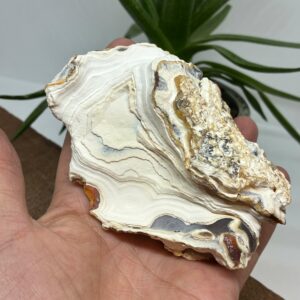 Gobi Agat på træfod